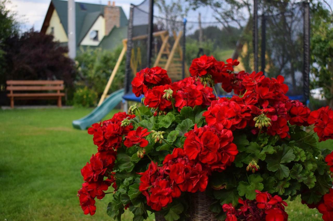 Pokoje I Apartament U Lucyny Czarna Góra Esterno foto